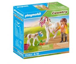 PLAYMOBIL COUNTRY - JUMENT ET POULAIN #71243